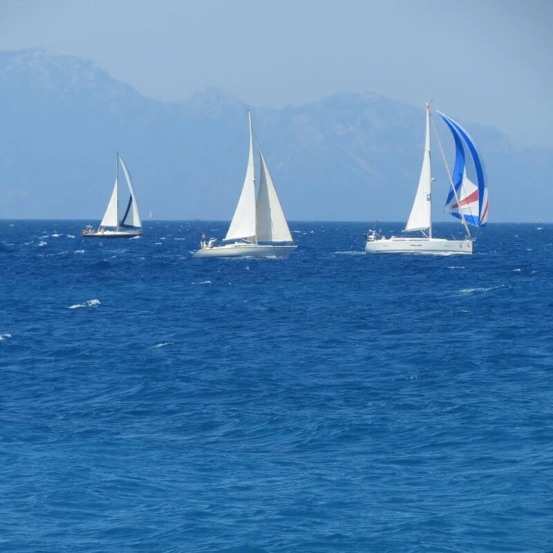 море синее парус. туристическое агентство "белый парус"!. пе белый парус. белый парус киргизия. газета парус.