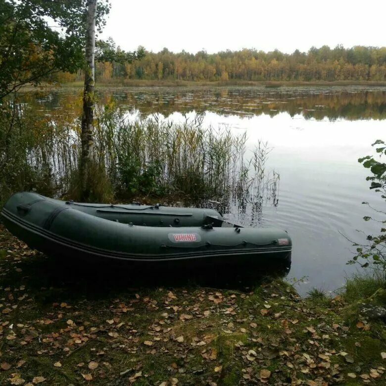 Лодка пвх викинг. Лодка Викинг 340. Лодка Викинг 320. Лодка Викинг 4.6.