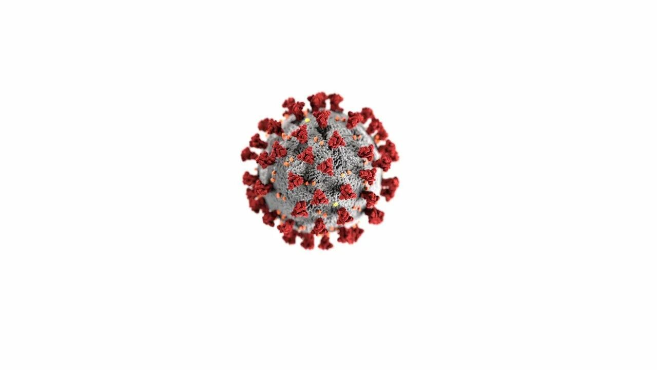 Коронавирусы (подсемейство). Мультяшный коронавирус модель 3d. Covid-19 под электронным микроскопом (а) и в ткани легкого (б). Букет от коронавируса картинки. Коронавирус в белгородской