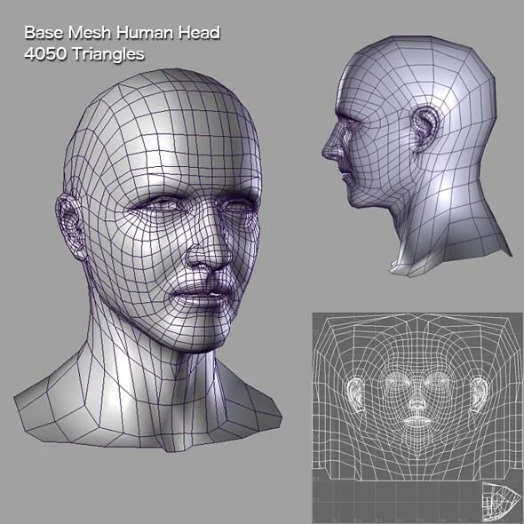 Human Base Mesh. Base Mesh человека. Base Mesh head. Human Mesh. Based heads