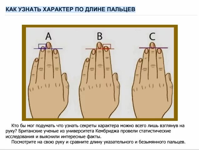 Какого значение пальцев. Характер по длине пальцев. характер по пальцам рук. определить характер по длине пальцев. расположение пальцев на руке.