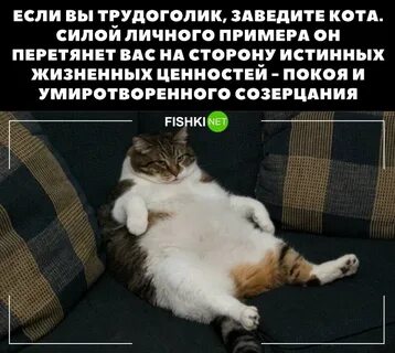 Сила на личную жизнь