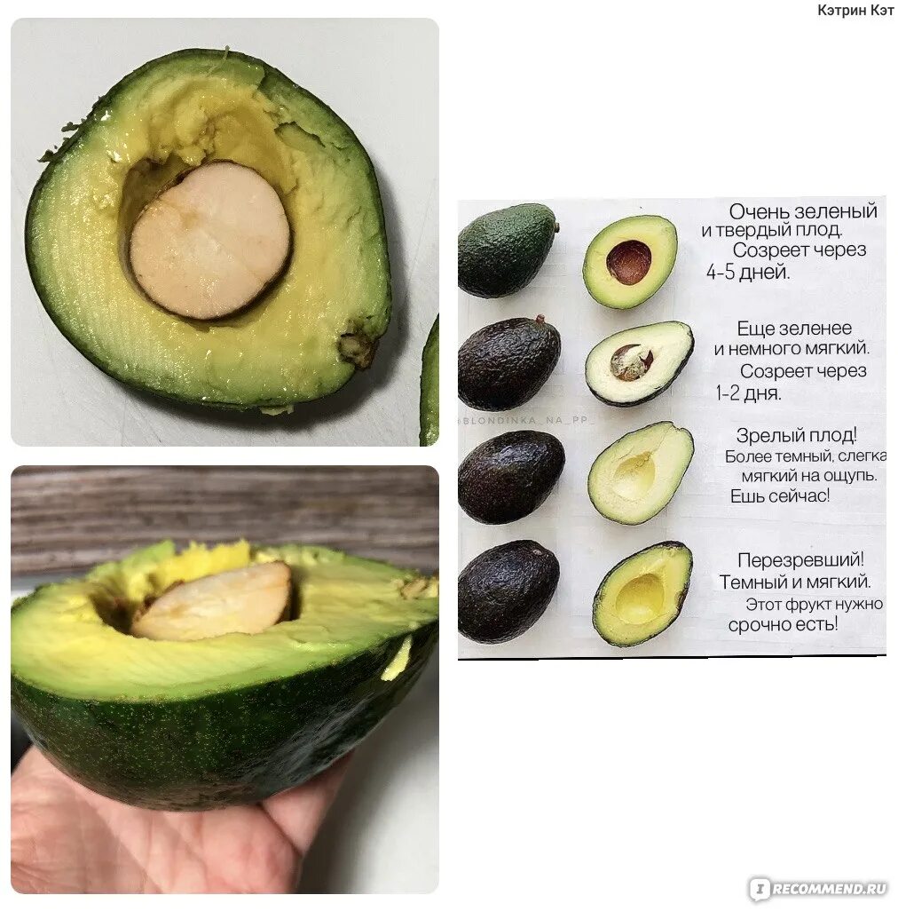 Авокадо хасс как выглядит внутри 25 Things You Probably Don't Know About California Avocat farci, Recette avocat,