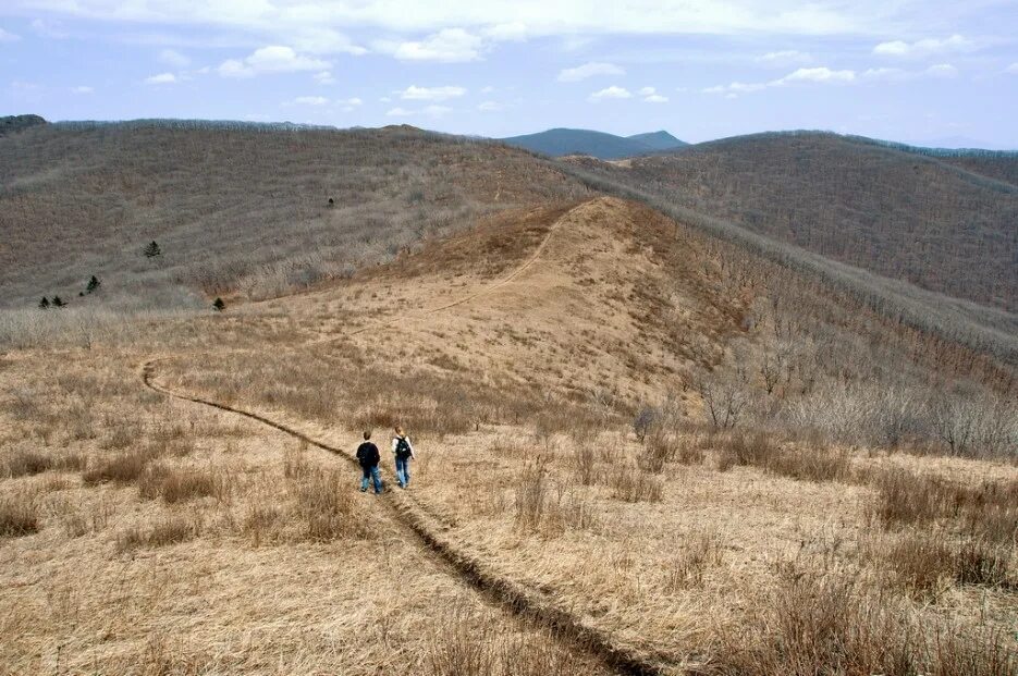 хребты богатая. чуйская котловина алтай. хребет бийская грива. тропа арсеньева приморский край 1906. хребет шамора.