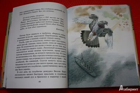 Рассказ голубятня