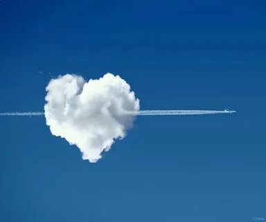 Flight day