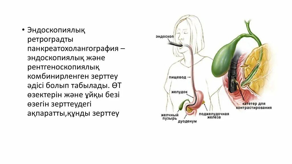 Трубка в желчном пузыре. Дуоденальное зондирование желчного пузыря показания. Схема дуоденального фракционного зондирования. Лечебное и диагностическое дуоденальное зондирование;. Техника проведения дуоденального зондирования желчного пузыря.