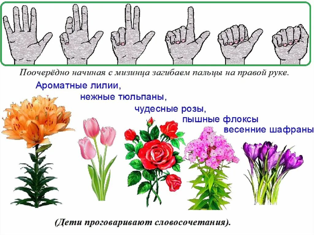 Планирование цветы средняя группа. Пальчиковая гимнастика цветок распускается. Пальчиковая гимнастика цветочек. Пальчиковая гимнастика цветы. Пальчиковая гимнастика для детей цветы.