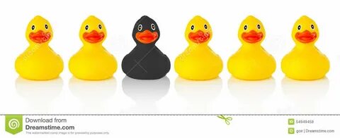 Ducks in a row