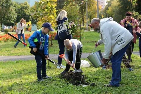 Вода железногорск курская область