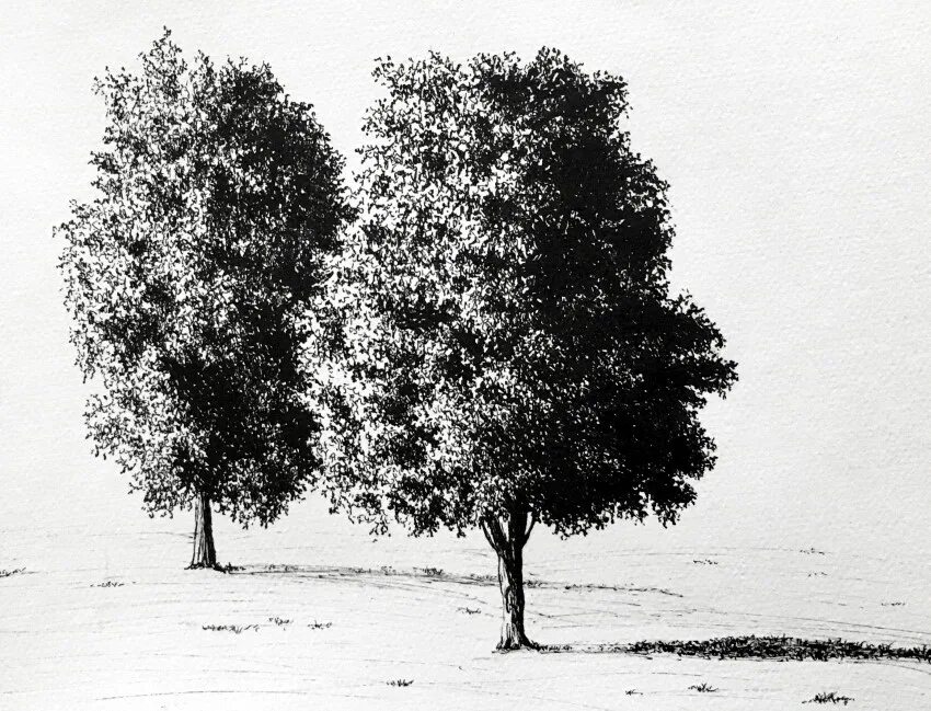Tree pen