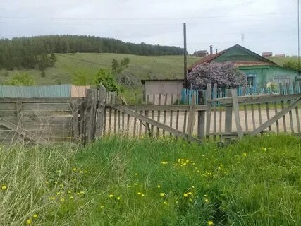 Погода в деревне козулина