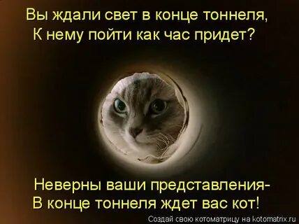 Я вижу свет в конце тоннеля