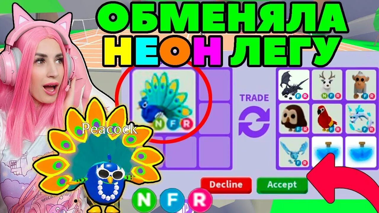 Павлин адопт ми. Райд павлин в адопт ми. R павлин адопт ми. R павлин адопт ми. Павлин адопт ми.