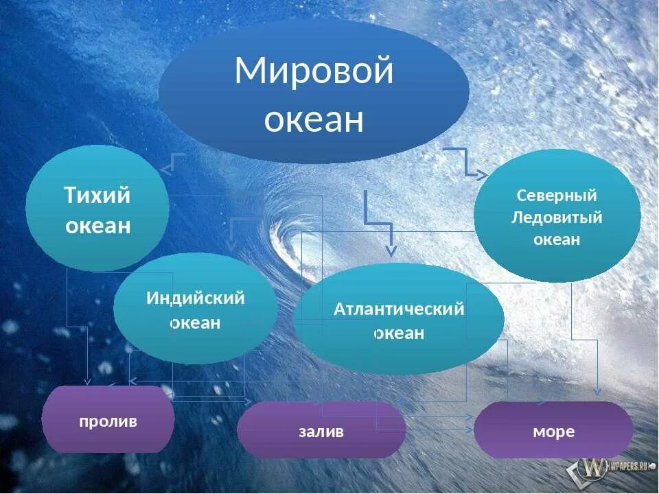 Жизнь в океане география 6 класс кратко. Части мирового океана. Составные части океана. Мировой океан и его части география. Части океана схема.