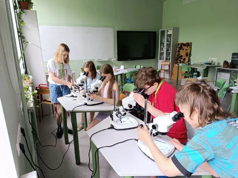 школа-интернат интеллектуал москва. школа интеллектуал внутри. летняя математическая школа. школа-интернат интеллектуал москва. собрание интеллектуалов.