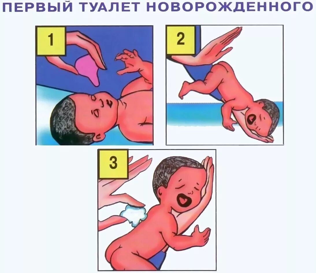 Первичный туалет новорожденного. Проведение первичного туалета новорожденного. Первый этап первичного туалета новорожденного. Первый туалет новорожденного