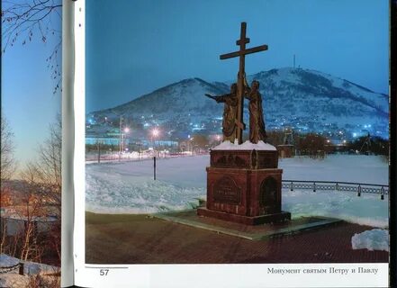 Домашний петропавловск камчатский