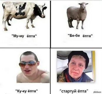 Скачай епты