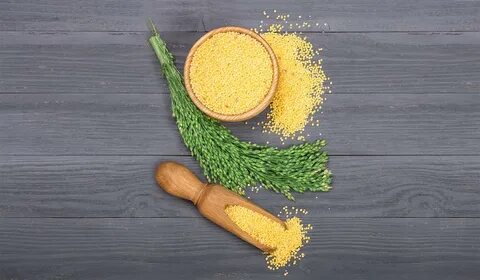 Для гостей на окно сыплет костя пшено
