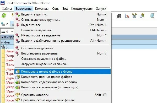 Как скопировать название файла. Копирование названий файлов папки. Как Скопировать название файлов из папки. Скопировать названия папок.