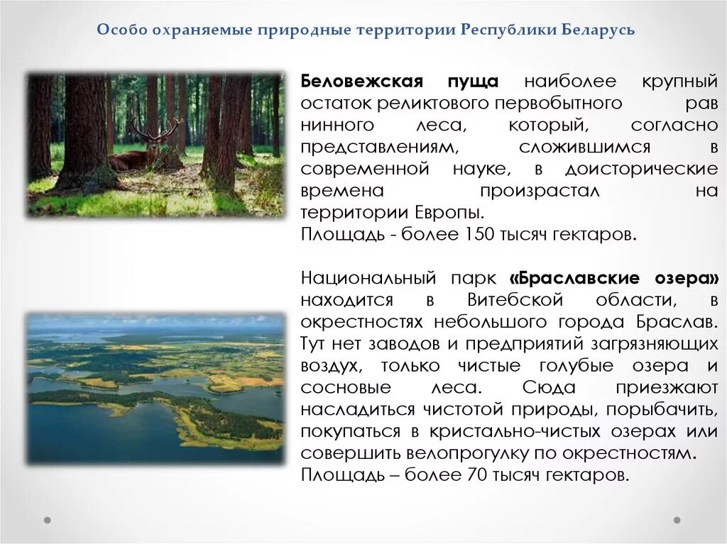 Особо охраняемые территории россии сообщение 8 класс. Особо охраняемые природные терр. Особоохроняемые природные территории. Особо охраняемые природные территории Белоруссии. Особо охраняемые природные территории (ООПТ).