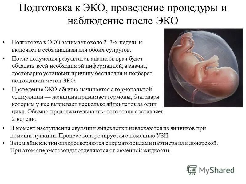 Сколько времени длится эко. Подготовка к эко. этапы подготовки к эко. подготовку к процедуре эко. эко оплодотворение.