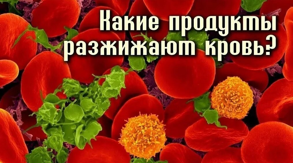 Продукты разжижающие кровь. Что разжижает кровь. Для разжижения крови. Густая кровь разжижение,,,,,. Продукты препятствующие образованию тромбов в сосудах