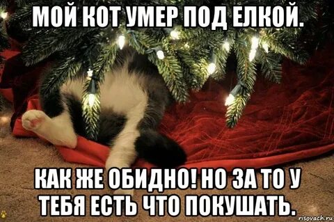 Я найду под елкой чистую