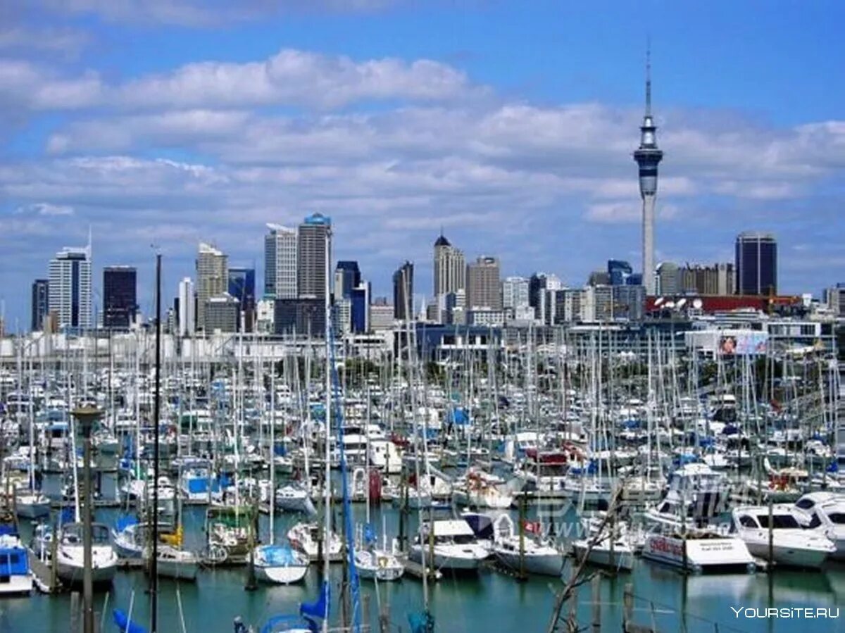 New zealand cities. Окленд новая Зеландия. Новозеландия Окленд. Окленд город парусов. Окленд новая Зеландия фото.