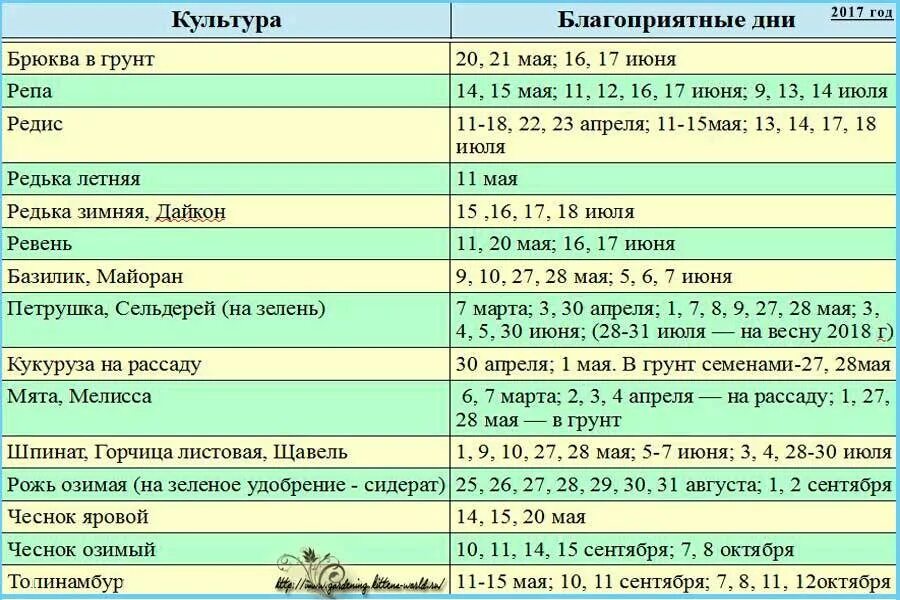 Хорошие дни для посадки чеснока. Благоприятные дни для посадки чеснока. Благоприятные дни для уборки. Благоприятные дни для посадки озимого чеснока. Благополучные дни для посадки чеснока.