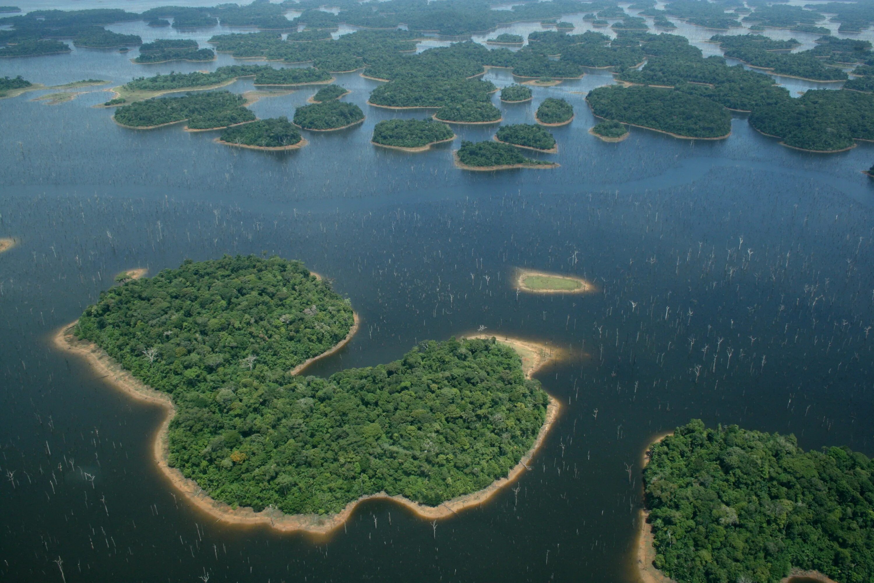 Самая длинная река бассейна атлантического океана. Бразилия Амазонская низменность. Амазония река Амазонка. Амазонка река Укаяли. Исток реки Амазонка.