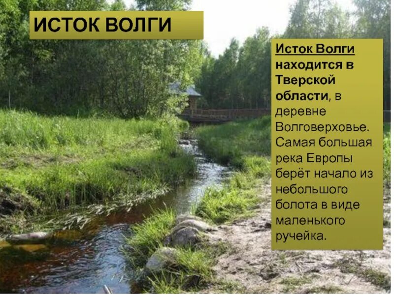 Здесь есть вода