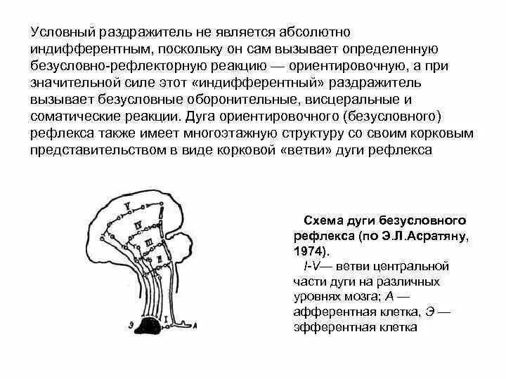 Безусловный раздражитель пример. Условный раздражитель пример. Условные и безусловные раздражители примеры. Безусловно-рефлекторные раздражители.