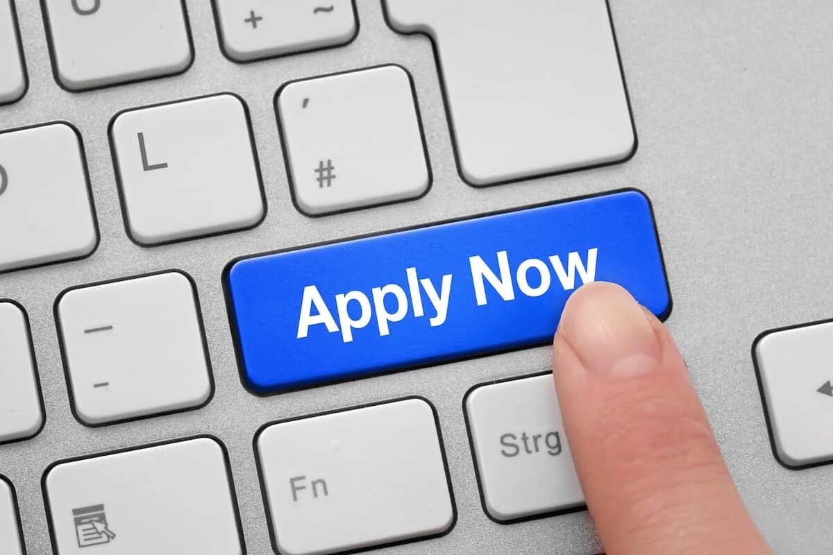 Apply for. Apply. unfollow. apply now. кнопка эплай.