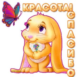  найдено 79 изображений