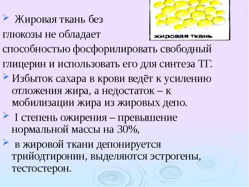 Синтез жиров происходит. Особенности жировой ткани. Роль Глюкозы в синтезе жира в жировой ткани. Синтез жиров в жировой ткани биохимия. Метаболизм углеводов и липидов в белой жировой ткани.