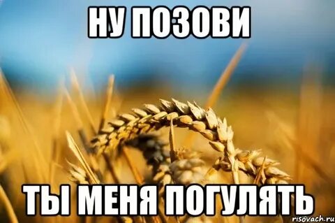 Ну гулять хожу