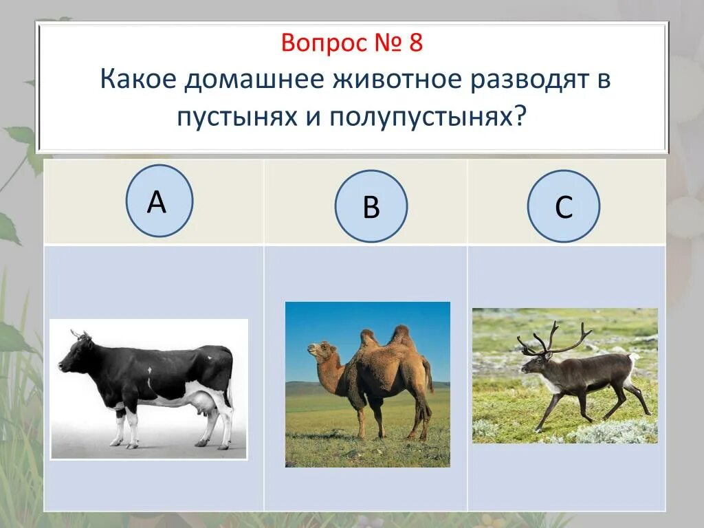 Тест пустыни и полупустыни 4 класс