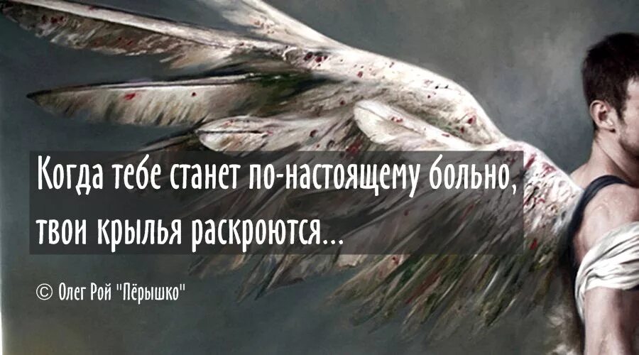 По настоящему сильные люди. Высказывания про Крылья. Фразы про Крылья. Цитаты про Крылья. Высказывания про Крылья за спиной.