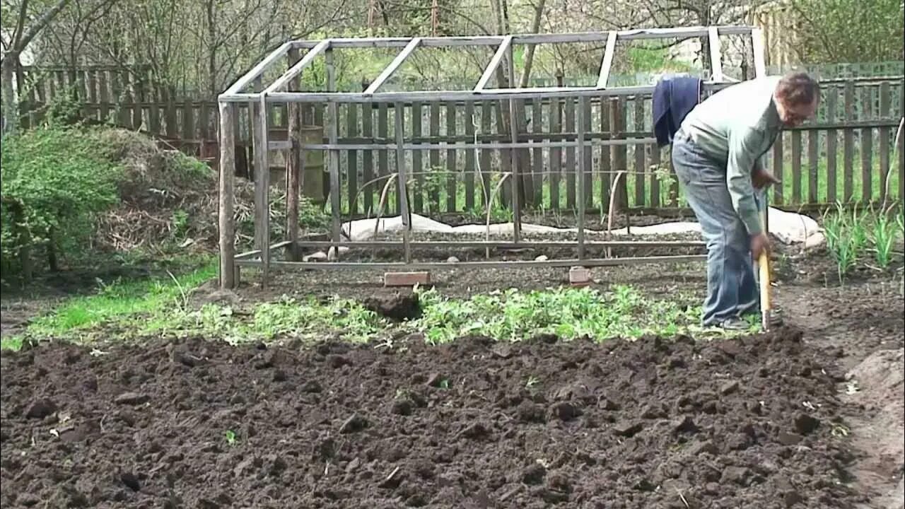 Мишка вскопал грядку площадью 10м2