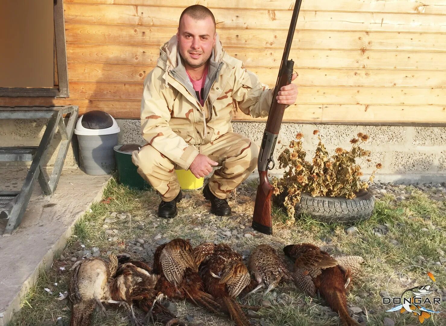 Охота на кабана в Астраханской области. Фазан в Астраханской области.