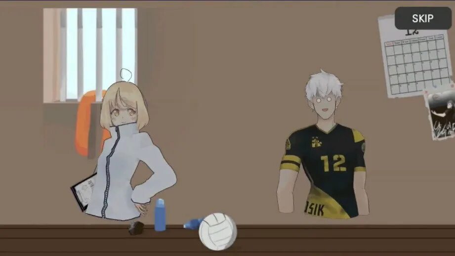 Volleyball story мод