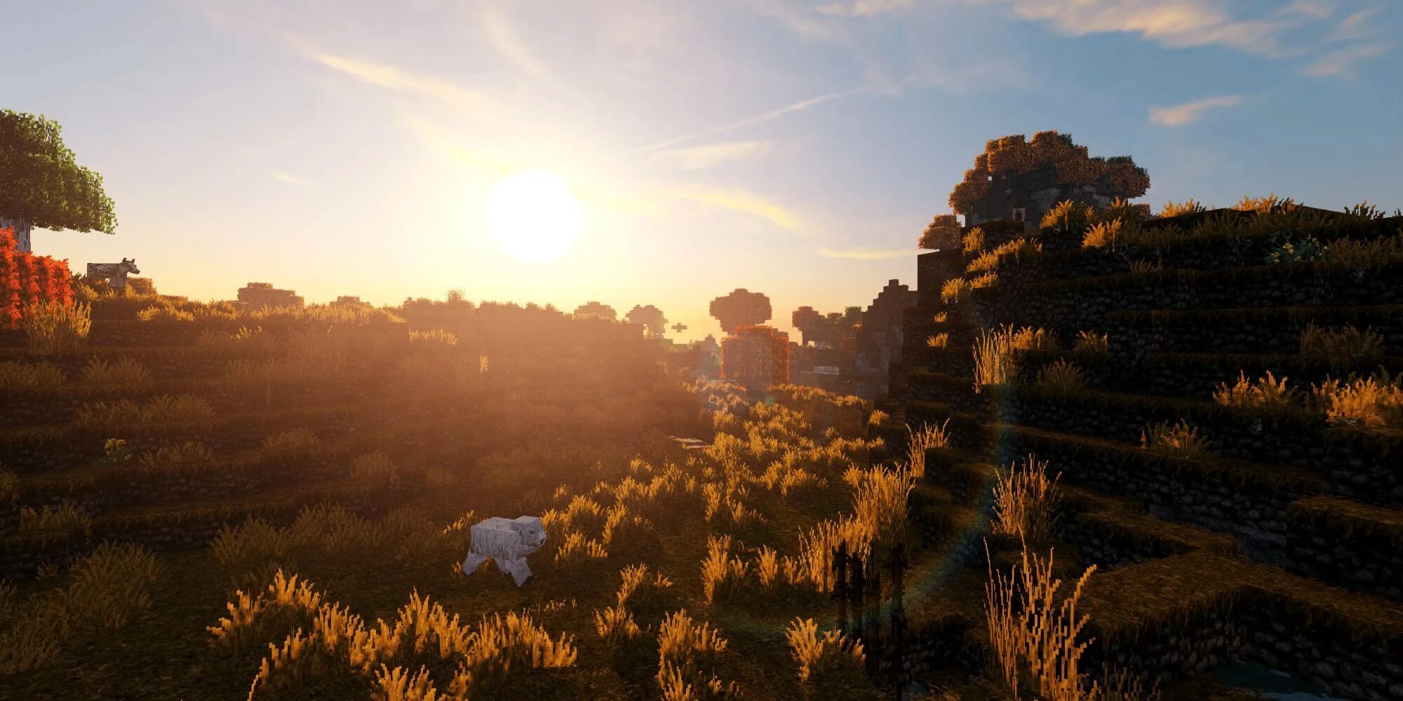 Shader level