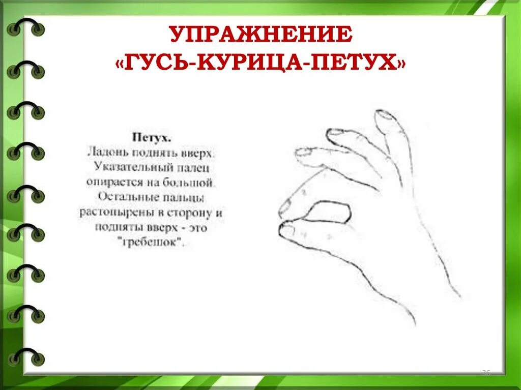 Кинезиологические упражнения Гусь курица петух. Кинезиологические пальчиковые упражнения для дошкольников. Пальчиковая гимнастика петух курица Гусь. Кинезиологические упражнения для дошкольников картотека. Картотека кинезиологических упражнений