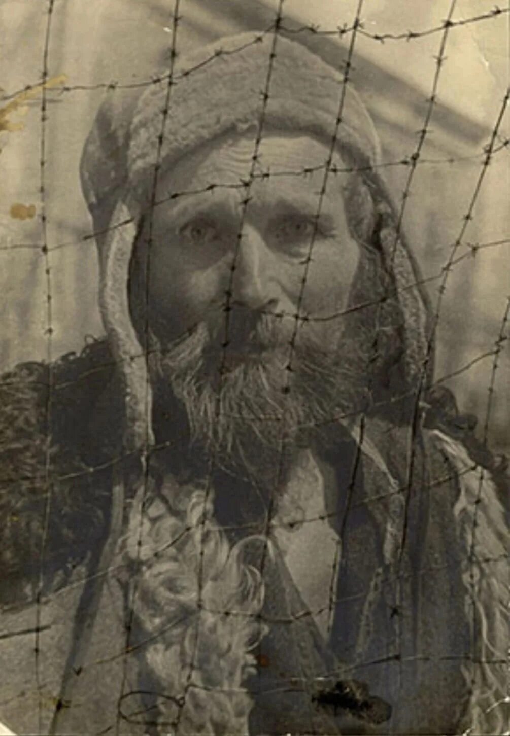 Деревня узник. Дитлов александр сергеевич. озаричи концлагерь людмила щербинева. курская область д. узник. людмила ивановна щербенева узница концлагеря.