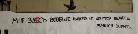 Беременность ничего не хочется делать