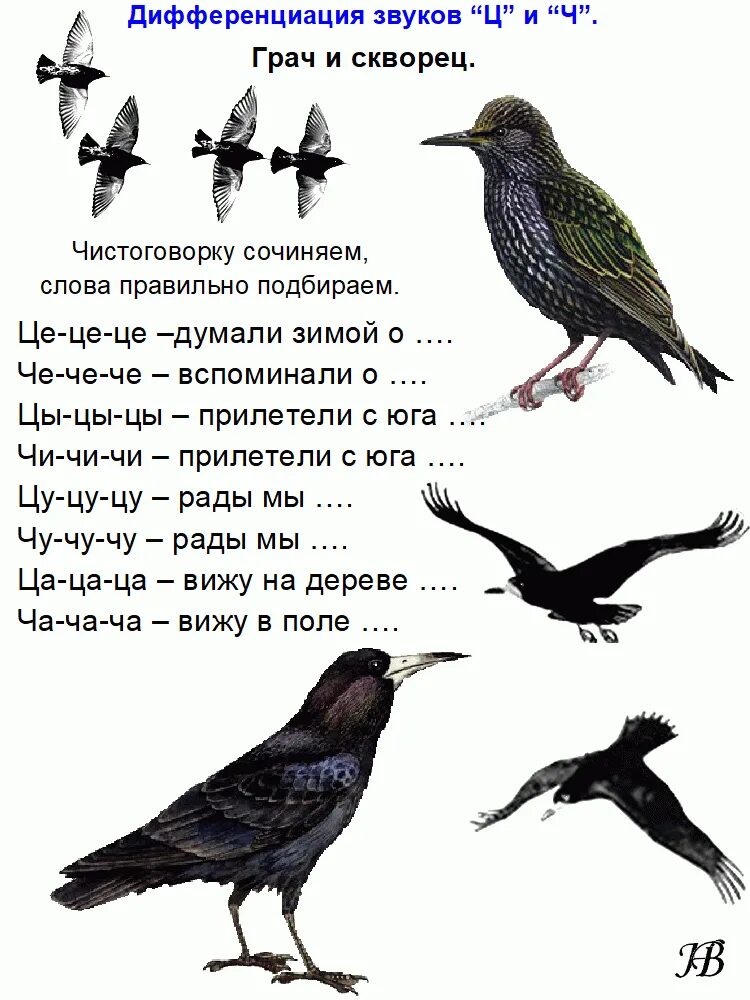 Ворон звуки и буквы. Чистоговорка про птиц для детей. Чистоговорки проп птиц. Чистоговорки о птицах для дошкольников. Чистоговорки для детей про зимующих птиц.