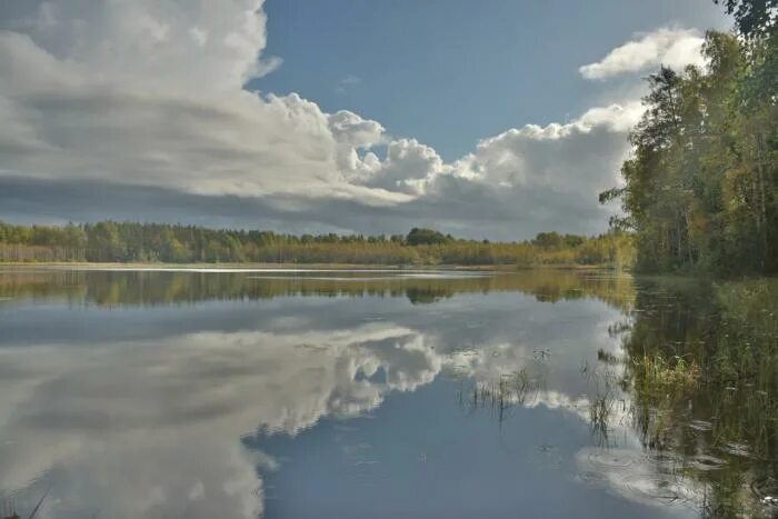 Каменногорское озеро Ленинградская область. Озеро большое Богородское Выборгский район. Фабричка озеро в Каменногорске. Пожупинское озеро Ленинградская область.