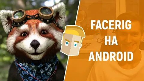 Face rig